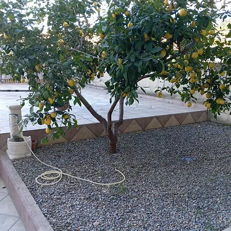 Apartment La Terrazza