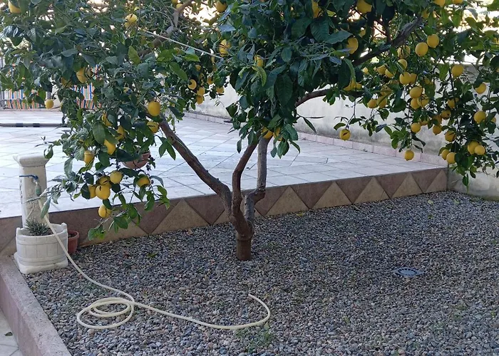 Appartamento La Terrazza